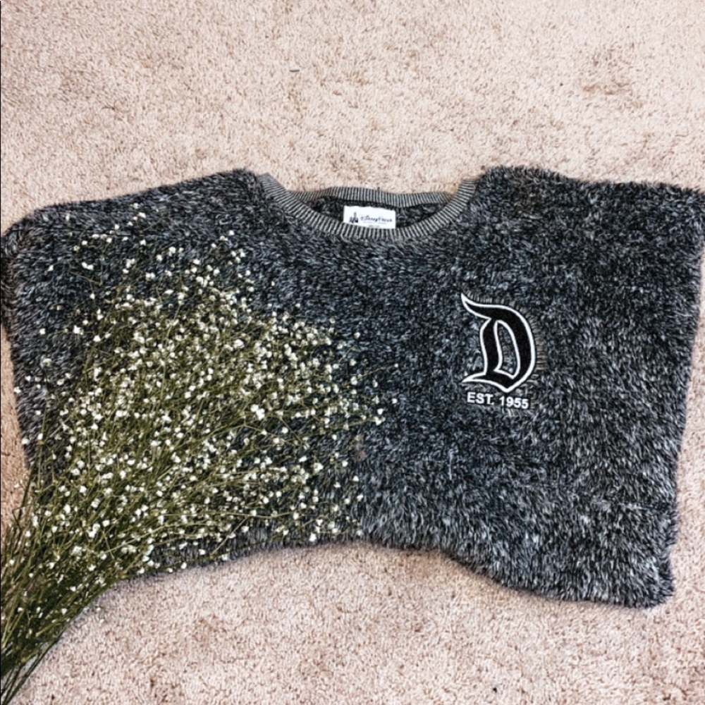 Disney Spirit Jersey